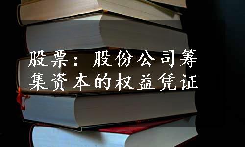 股票：股份公司筹集资本的权益凭证