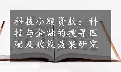 科技小额贷款：科技与金融的搜寻匹配及政策效果研究