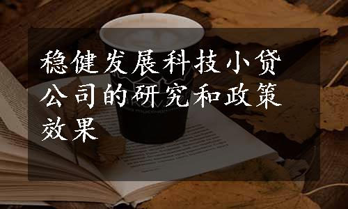 稳健发展科技小贷公司的研究和政策效果