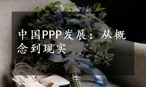 中国PPP发展：从概念到现实