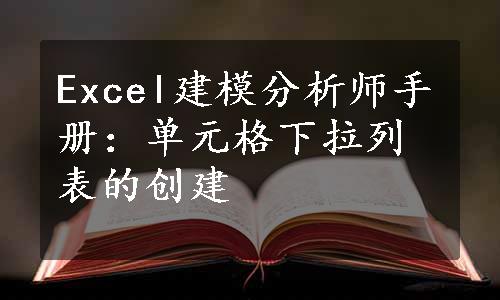 Excel建模分析师手册：单元格下拉列表的创建