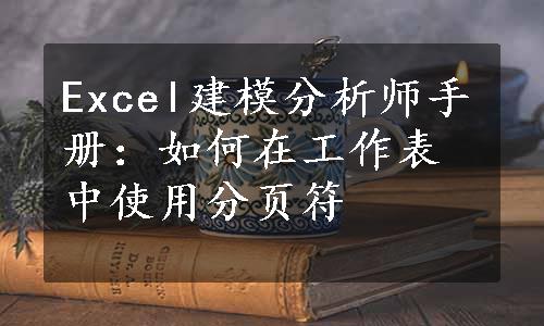 Excel建模分析师手册：如何在工作表中使用分页符