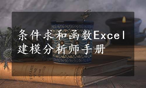 条件求和函数
Excel建模分析师手册