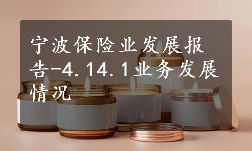 宁波保险业发展报告-4.14.1业务发展情况