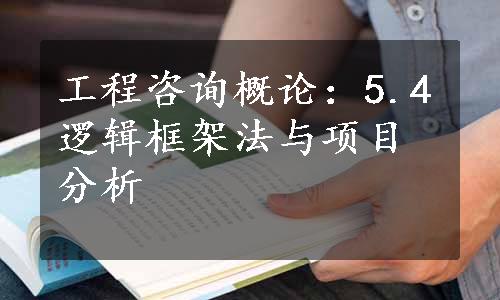 工程咨询概论：5.4逻辑框架法与项目分析