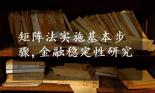 矩阵法实施基本步骤,金融稳定性研究