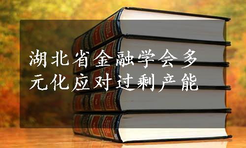 湖北省金融学会多元化应对过剩产能