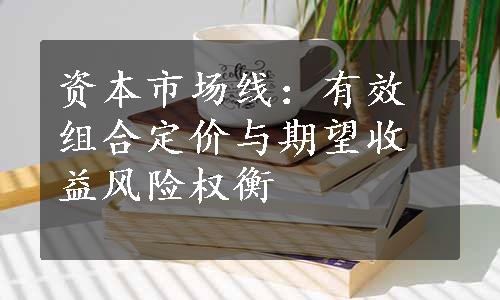 资本市场线：有效组合定价与期望收益风险权衡