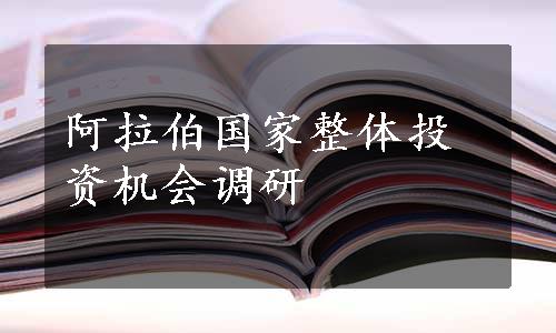 阿拉伯国家整体投资机会调研