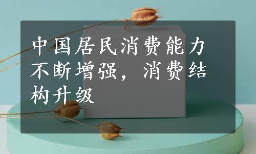 中国居民消费能力不断增强，消费结构升级