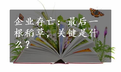 企业存亡：最后一根稻草，关键是什么？