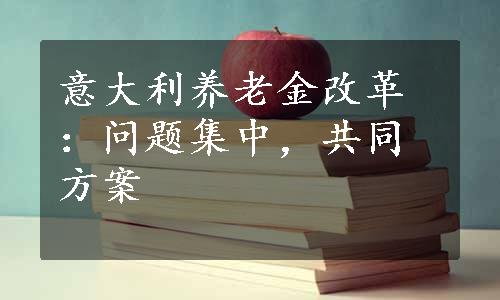 意大利养老金改革：问题集中，共同方案