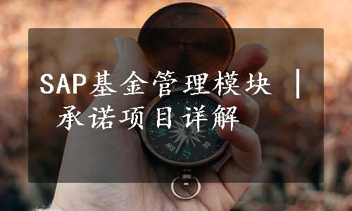 SAP基金管理模块 | 承诺项目详解