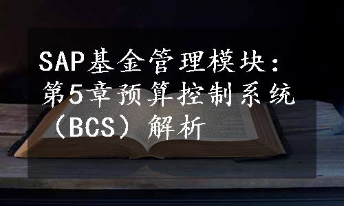 SAP基金管理模块：第5章预算控制系统（BCS）解析