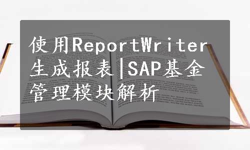 使用ReportWriter生成报表|SAP基金管理模块解析