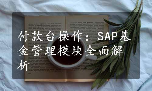 付款台操作：SAP基金管理模块全面解析