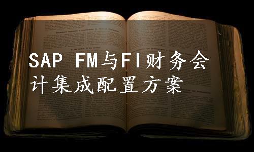 SAP FM与FI财务会计集成配置方案