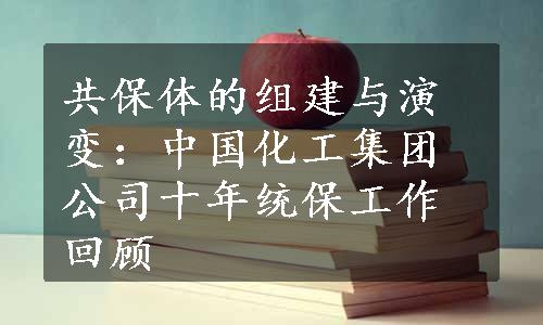 共保体的组建与演变：中国化工集团公司十年统保工作回顾