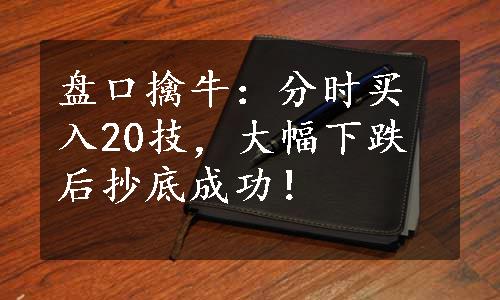 盘口擒牛：分时买入20技，大幅下跌后抄底成功！