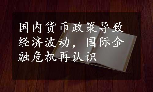 国内货币政策导致经济波动，国际金融危机再认识