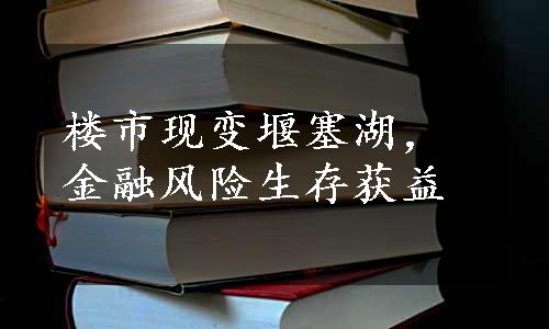 楼市现变堰塞湖，金融风险生存获益