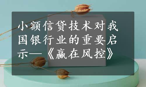 小额信贷技术对我国银行业的重要启示—《赢在风控》