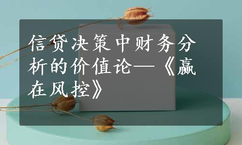 信贷决策中财务分析的价值论—《赢在风控》