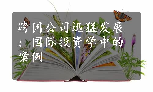 跨国公司迅猛发展：国际投资学中的案例