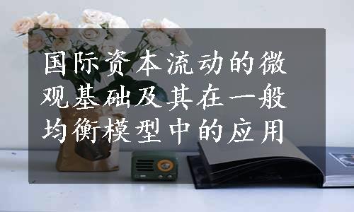 国际资本流动的微观基础及其在一般均衡模型中的应用