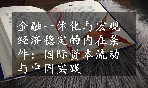 金融一体化与宏观经济稳定的内在条件：国际资本流动与中国实践