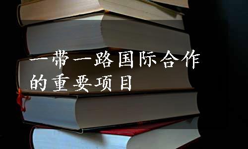 一带一路国际合作的重要项目