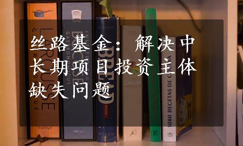 丝路基金：解决中长期项目投资主体缺失问题