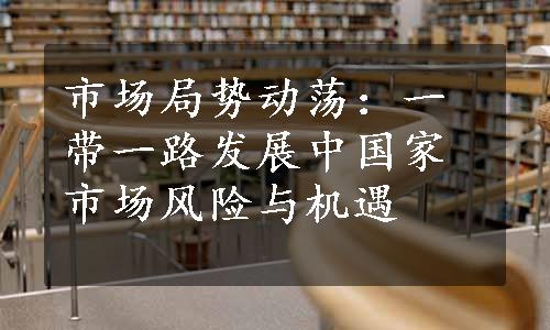 市场局势动荡：一带一路发展中国家市场风险与机遇