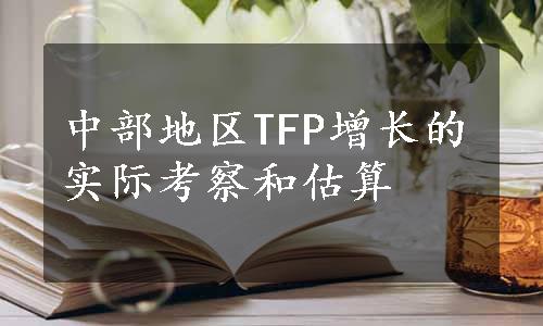 中部地区TFP增长的实际考察和估算