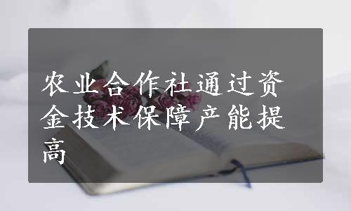 农业合作社通过资金技术保障产能提高