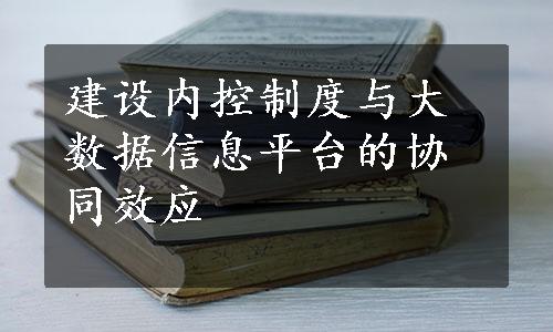 建设内控制度与大数据信息平台的协同效应