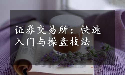 证券交易所：快速入门与操盘技法