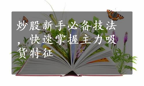 炒股新手必备技法，快速掌握主力吸货特征