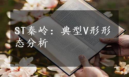 ST秦岭：典型V形形态分析