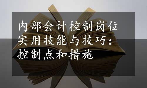 内部会计控制岗位实用技能与技巧：控制点和措施