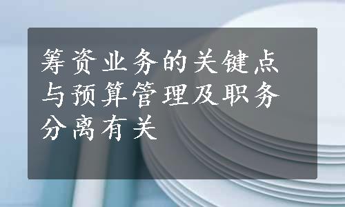 筹资业务的关键点与预算管理及职务分离有关