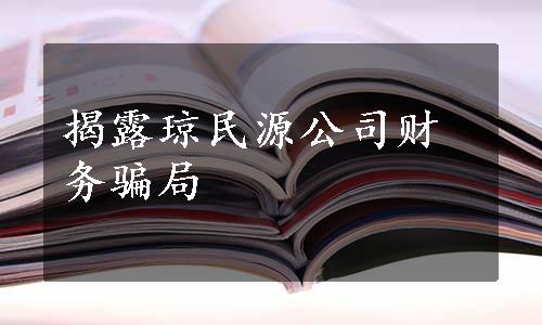 揭露琼民源公司财务骗局