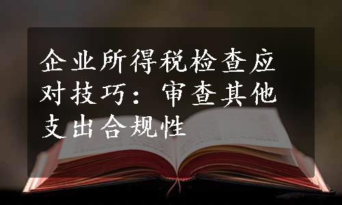 企业所得税检查应对技巧：审查其他支出合规性