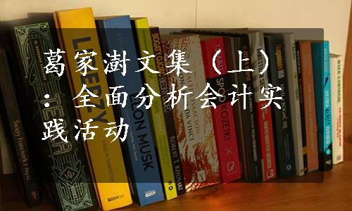 葛家澍文集（上）：全面分析会计实践活动