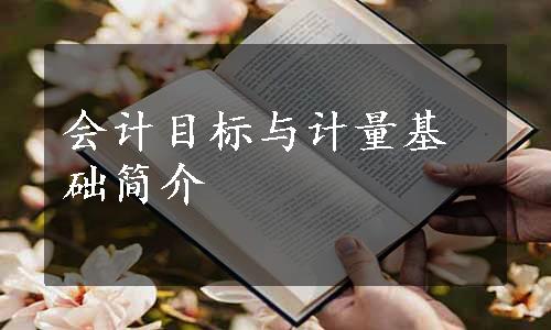 会计目标与计量基础简介