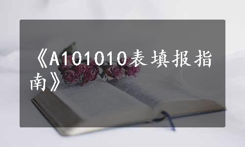 《A101010表填报指南》