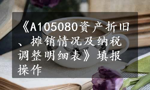 《A105080资产折旧、摊销情况及纳税调整明细表》填报操作