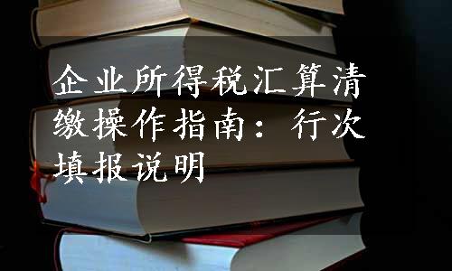 企业所得税汇算清缴操作指南：行次填报说明