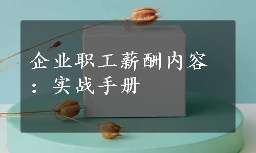 企业职工薪酬内容：实战手册