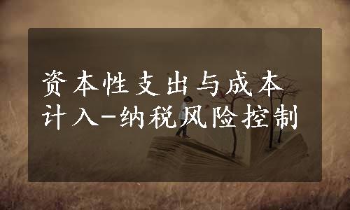 资本性支出与成本计入-纳税风险控制